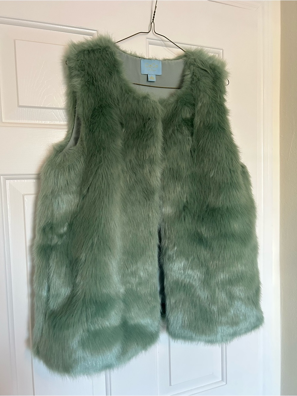 CeCe Sea Green Faux Fur Vest